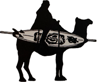 Windsurfen Aktiv Lernen